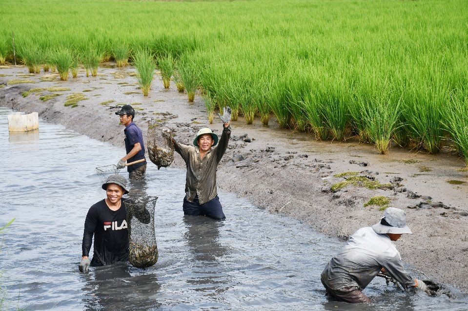 Cà Mau: Tập trung phát triển các sản phẩm nông nghiệp sạch, an toàn