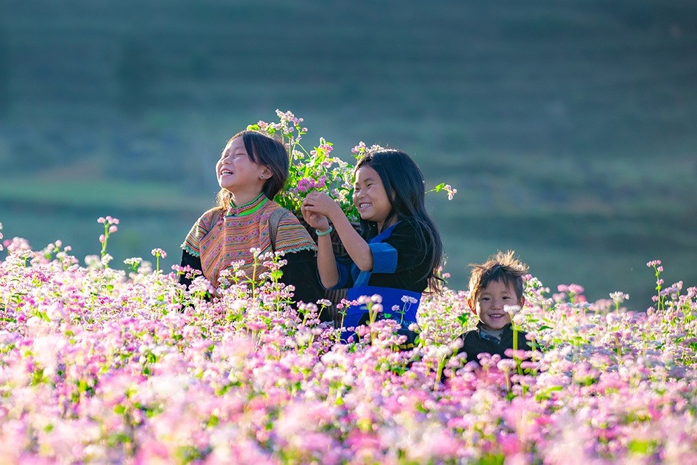 Hà Giang: Khai mạc Lễ hội hoa tam giác mạch lần thứ 8