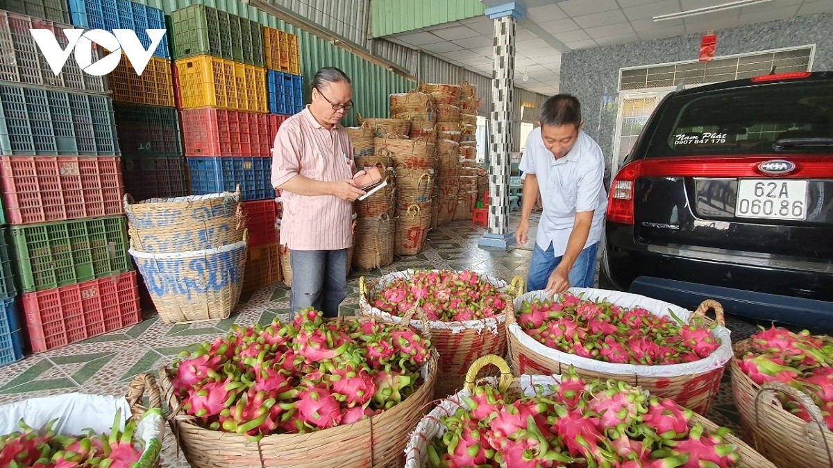 Doanh nghiệp nông sản “loay hoay” khi Trung Quốc mở cửa khẩu