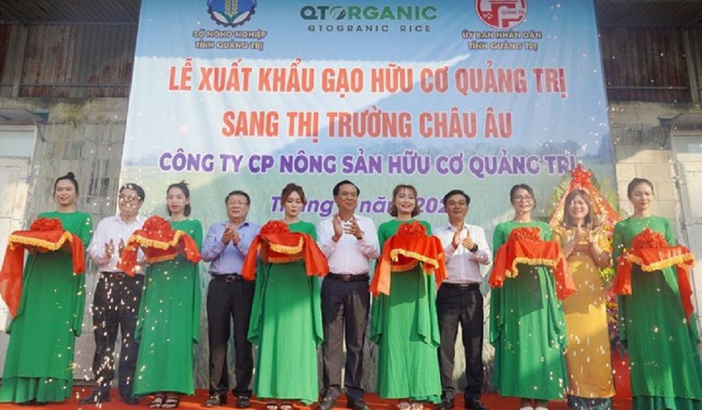 Quảng Trị: Xuất khẩu 15 tấn gạo hữu cơ đầu tiên sang châu Âu