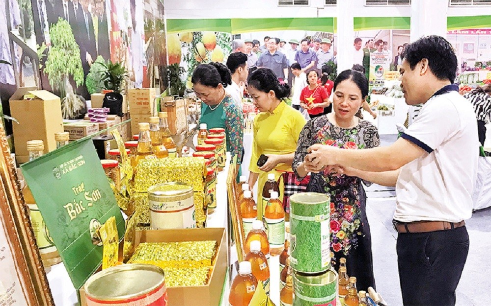 Hà Nội: Phát triển mô hình Trung tâm thiết kế sáng tạo, quảng bá sản phẩm OCOP gắn với du lịch