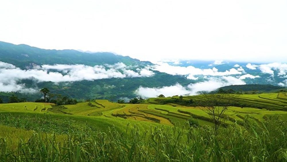 Tuyên Quang: Du lịch nông nghiệp đang phát triển mạnh ở huyện Na Hang