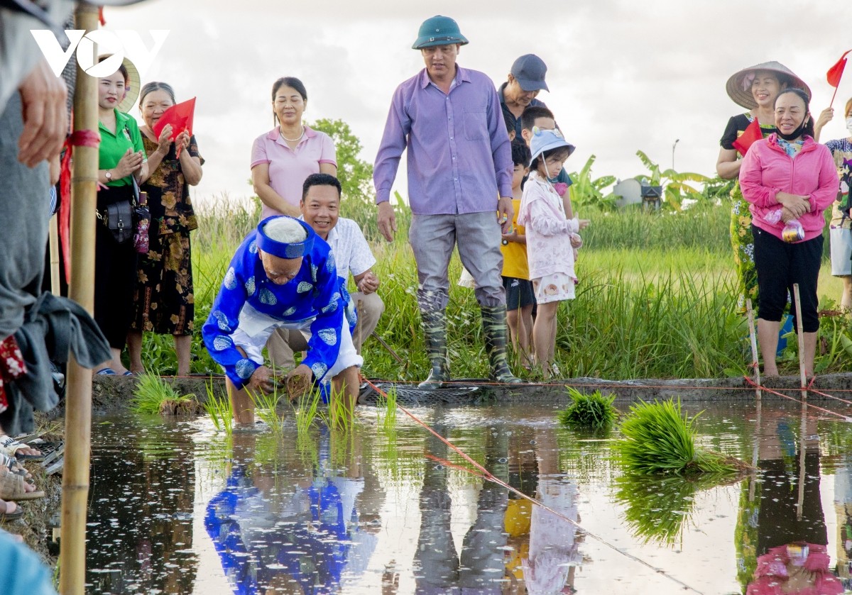 Quảng Ninh: Rộn ràng Lễ hội xuống đồng ở thị xã Quảng Yên