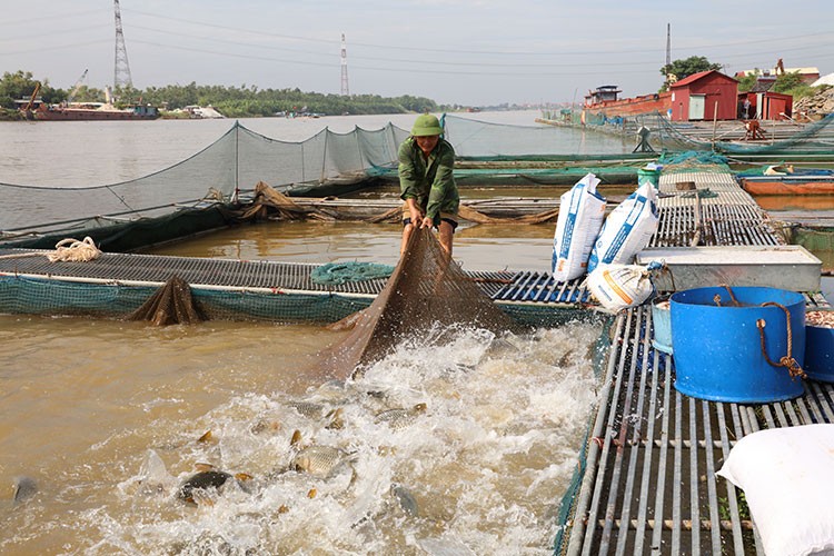 Kiểm soát, giám sát chất lượng môi trường trong nuôi trồng thủy sản