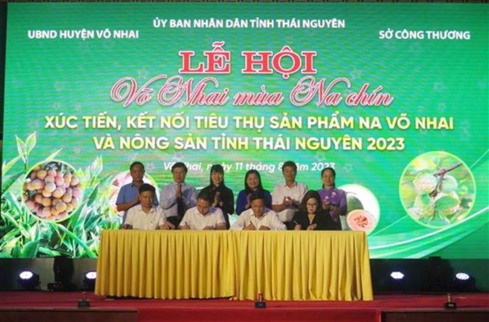 Lễ hội "Võ Nhai mùa na chín": Kết nối tiêu thụ nông sản Thái Nguyên