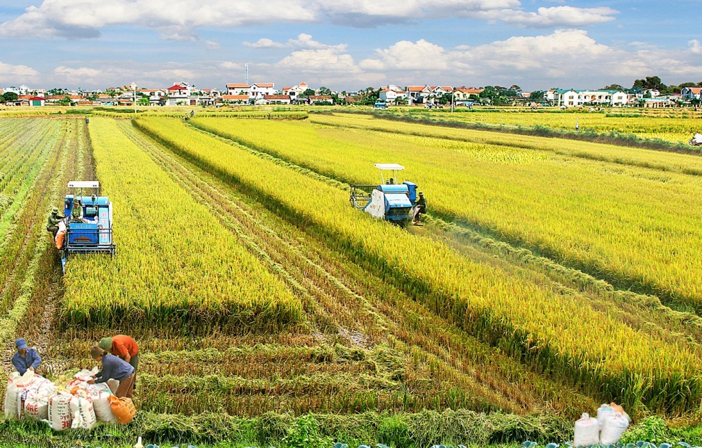 Quảng Bình đẩy mạnh quy hoạch xây dựng Nông thôn mới gắn với quá trình đô thị hóa