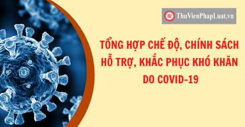 chinh-sach-ho-tro-covid-19-1637501290.png