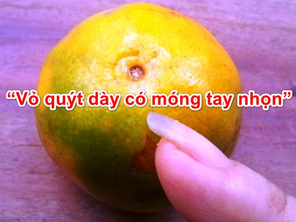 vo-quyt-day-co-mong-tay-nhon-1674969935.jpg