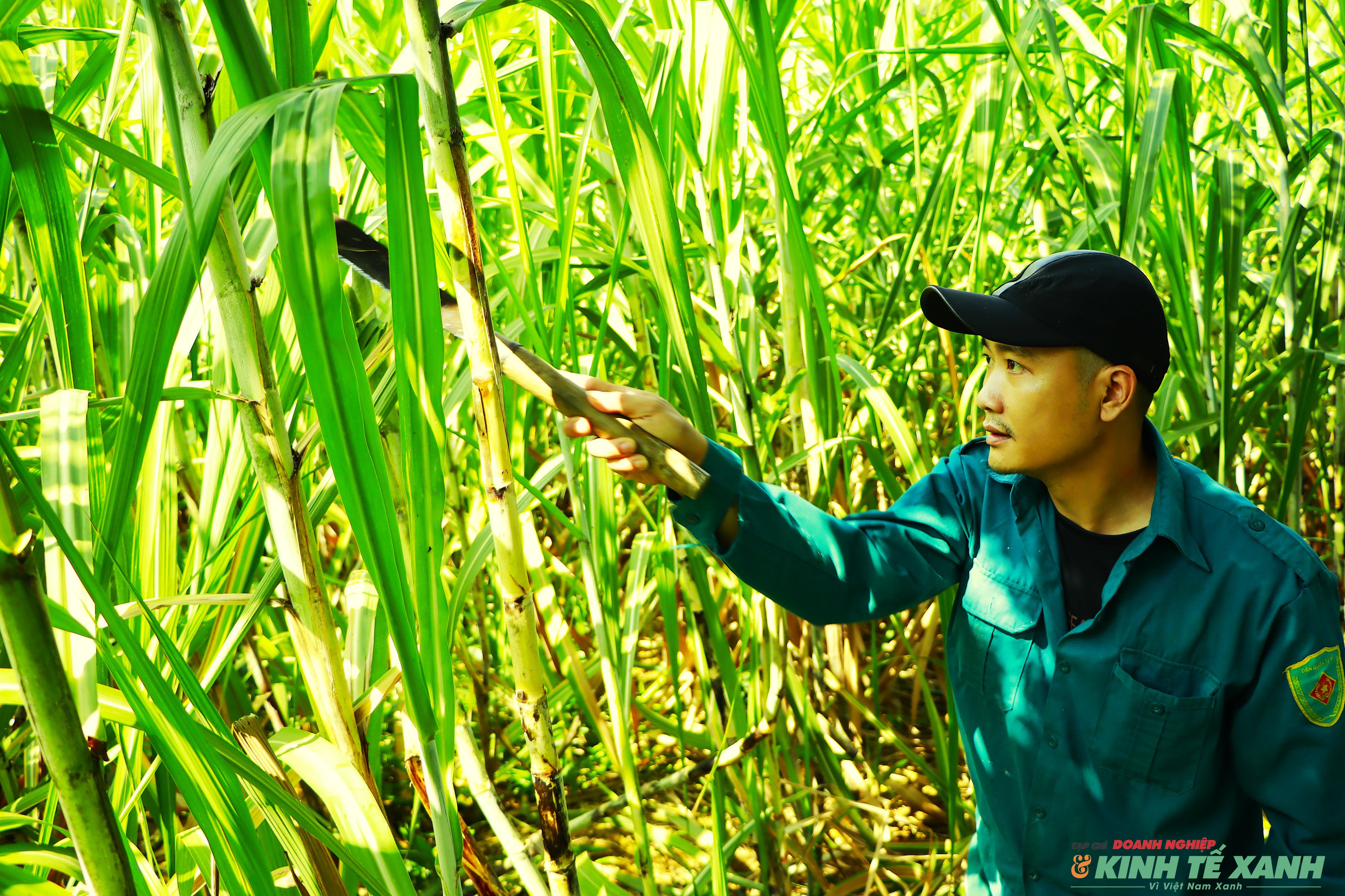 Đẩy mạnh tăng trưởng kinh tế, xã Quyết Thắng đang nỗ lực về đích nông thôn mới