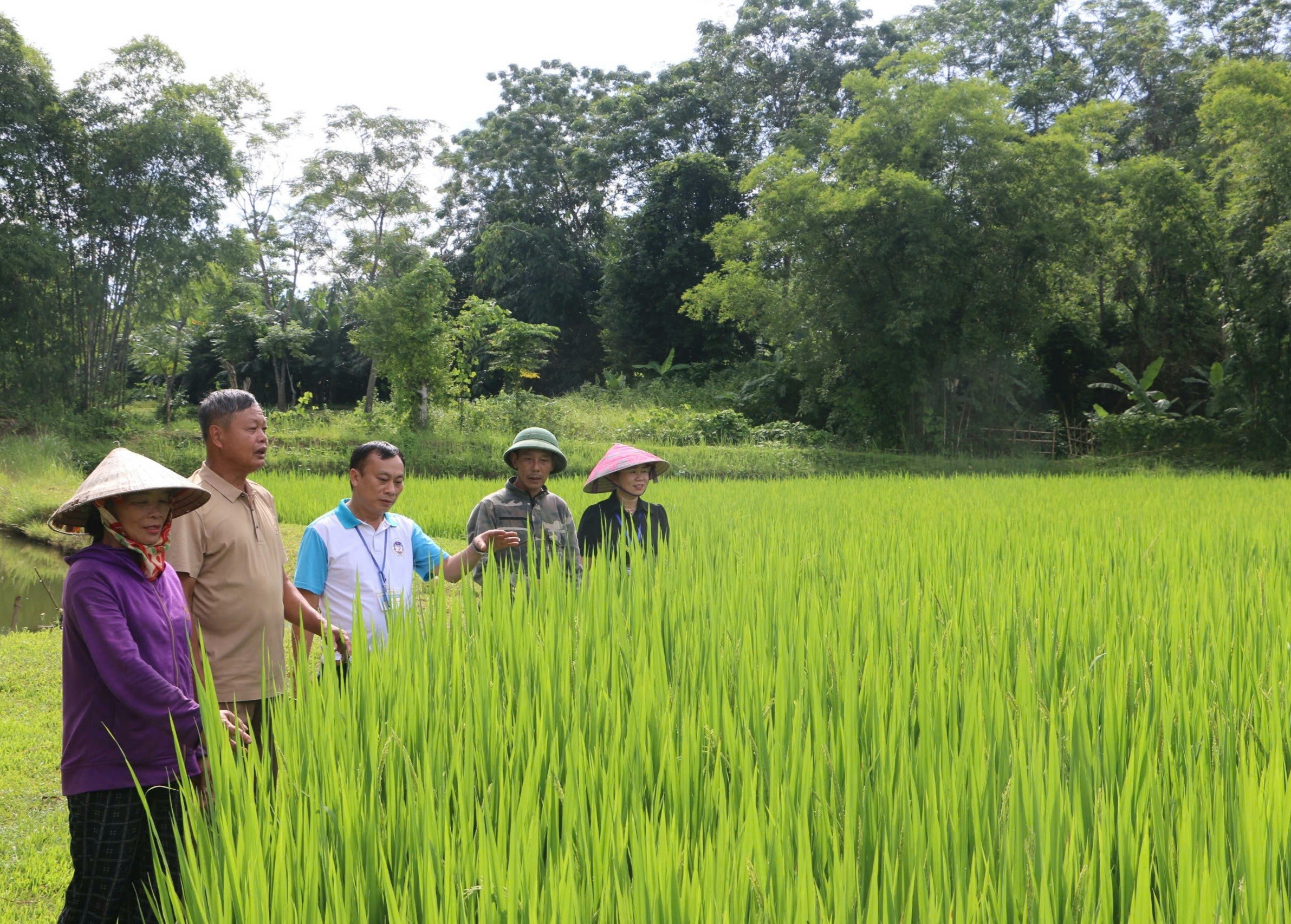 Người trưởng xóm mẫu mực với “bí quyết” trong huy động sức dân tham gia xây dựng nông thôn mới