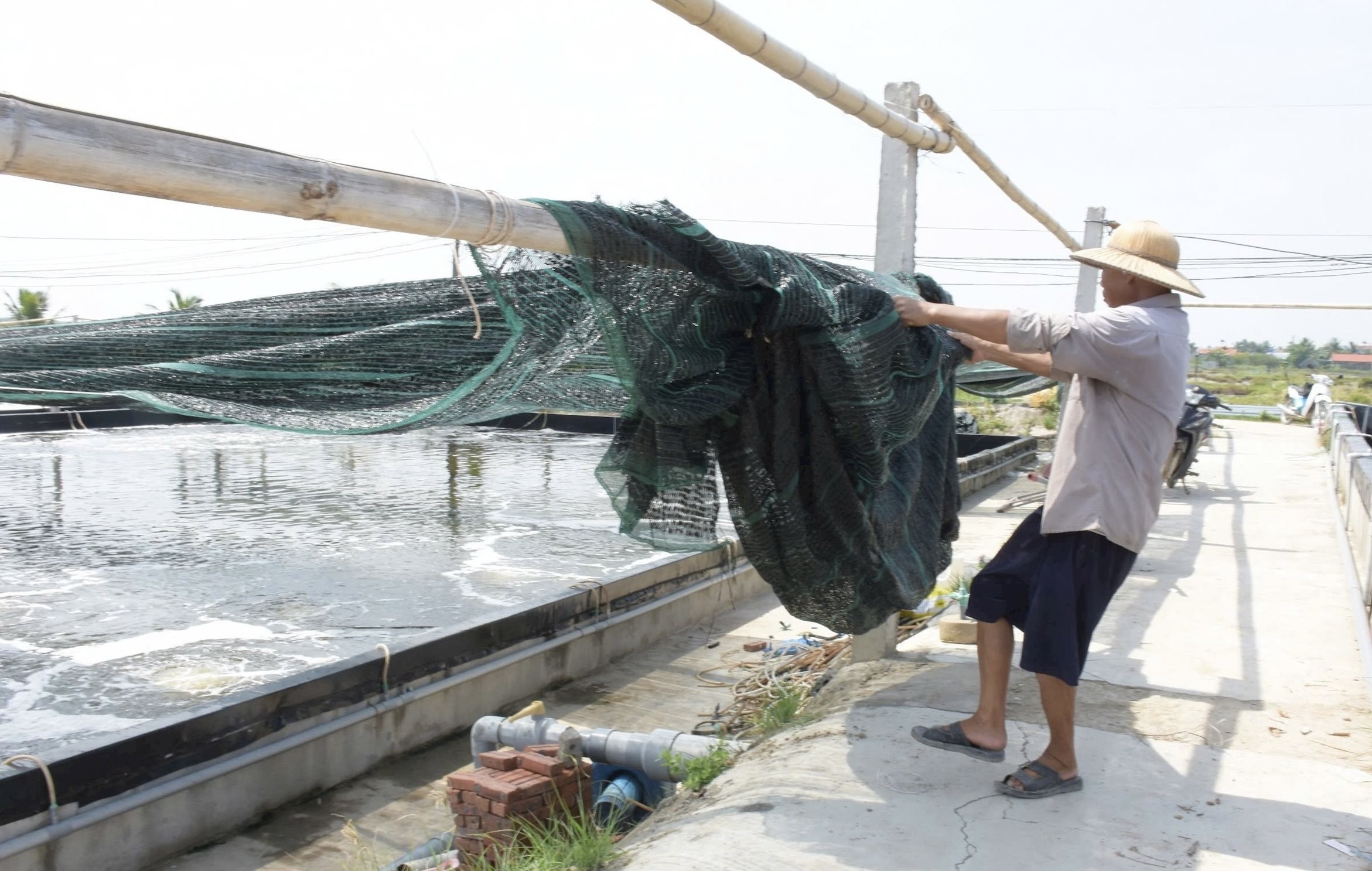 Ngành nuôi trồng thuỷ sản Nghệ An vượt khó, phấn đấu hoàn thành kế hoạch