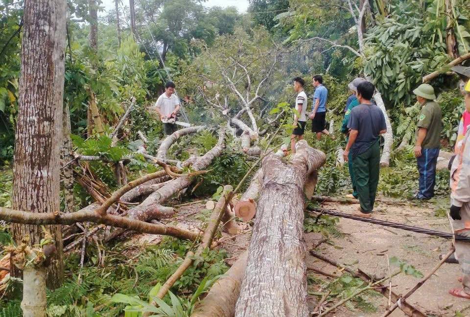 Nghệ An: Triển khai các biện pháp phục hồi sản xuất nông nghiệp sau bão số 3