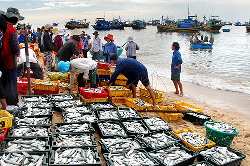 Phê duyệt chương trình điều tra, đánh giá tổng thể nguồn lợi thủy sản trên phạm vi cả nước