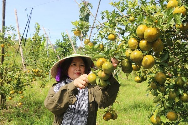 Nhiều điểm sáng trong chương trình Xây dựng nông thôn mới ở Đắk Nông