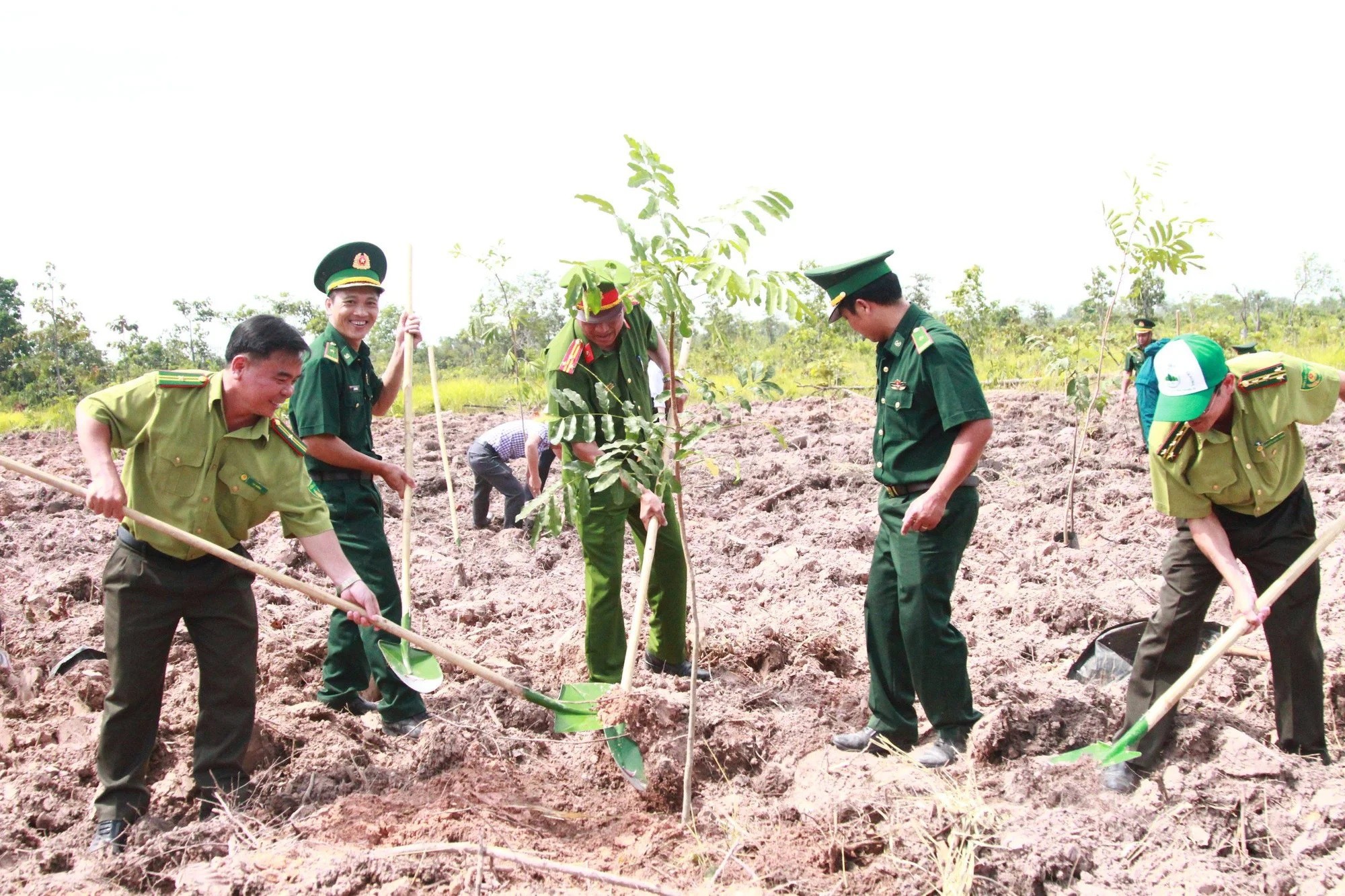 trong-nhieu-nam-qua-dak-lak-luon-lam-tot-cong-tac-trong-rung-moi-nho-ket-hop-cac-nguon-luc-cua-chinh-quyen-doanh-nghiep-va-nguoi-dan-1718694667.jpg