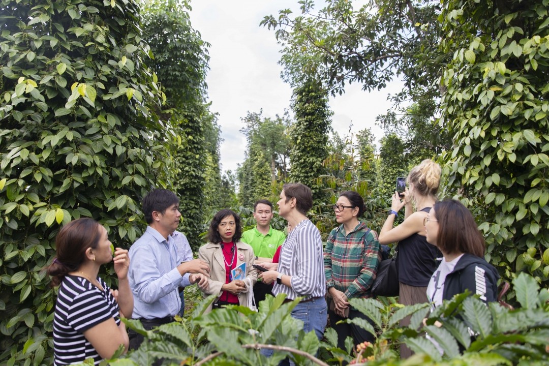 Nông nghiệp tuần hoàn trước tác động của biến đổi khí hậu ở Đắk Nông