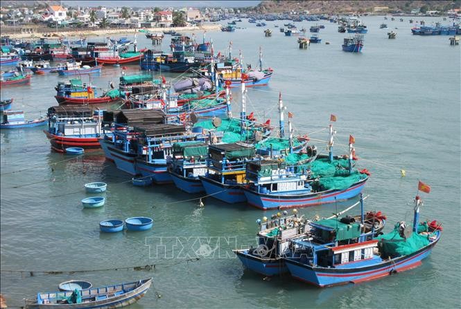 Biển đảo Việt Nam: Tăng năng lực cho đội tàu khai thác xa bờ