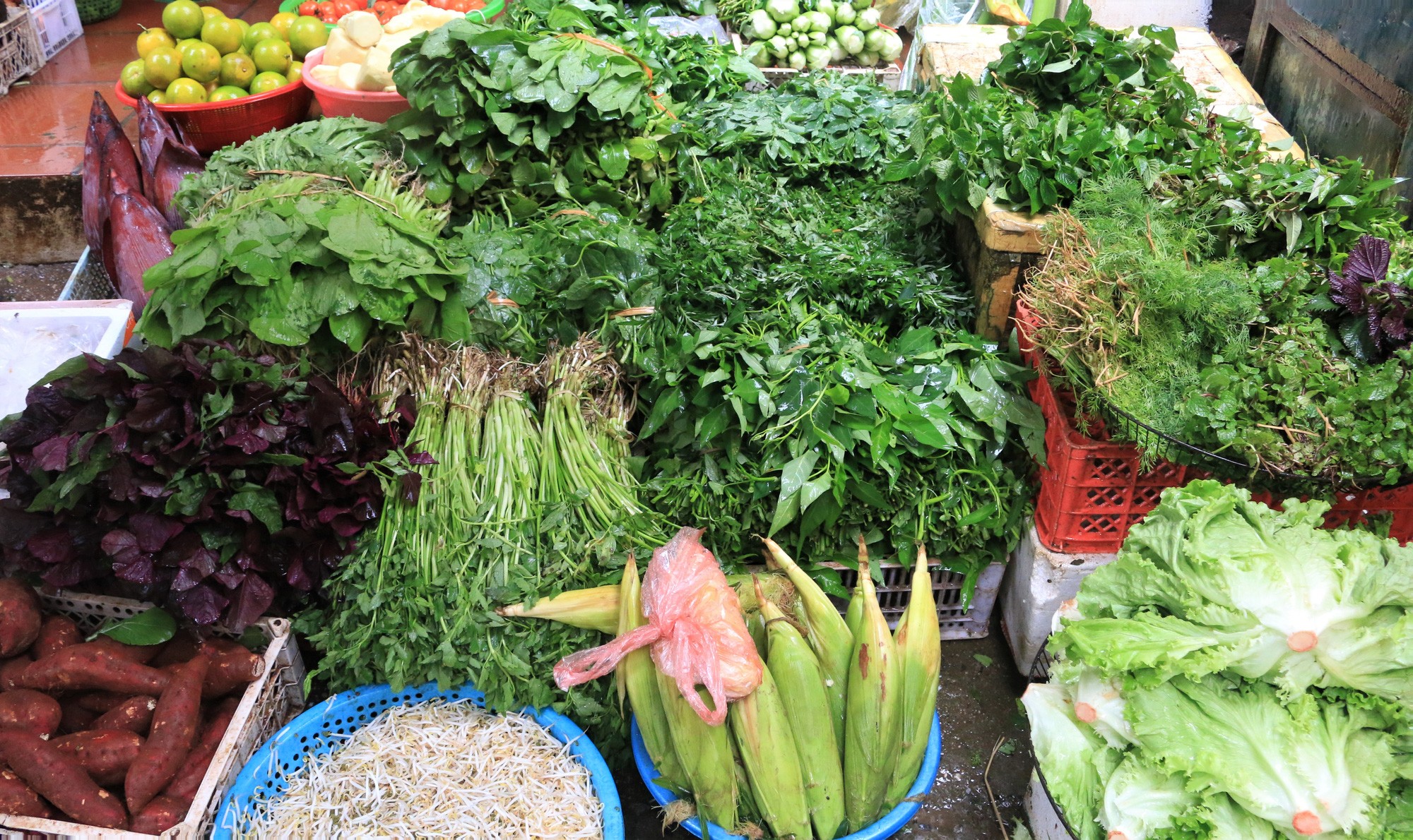 Cảnh giác rau củ "tăng trưởng cấp tốc” sau mưa lũ