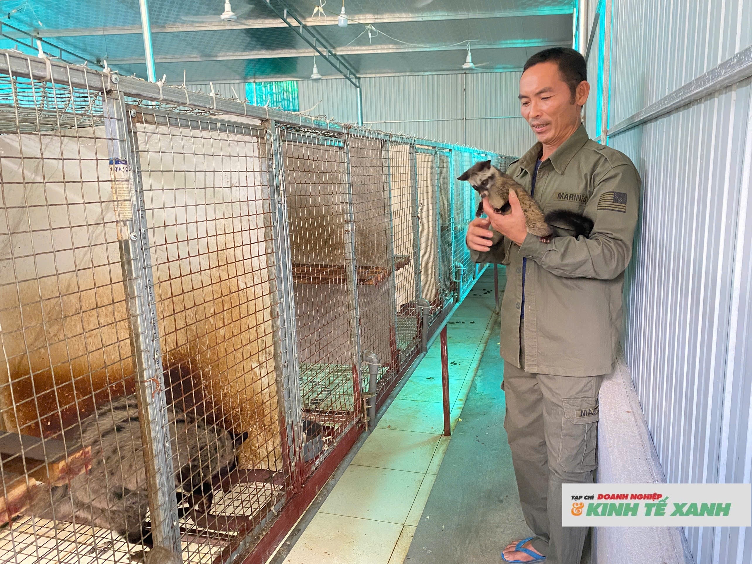 Anh nông dân khởi nghiệp thành công nhờ “thuần hoá” đặc sản dân dã