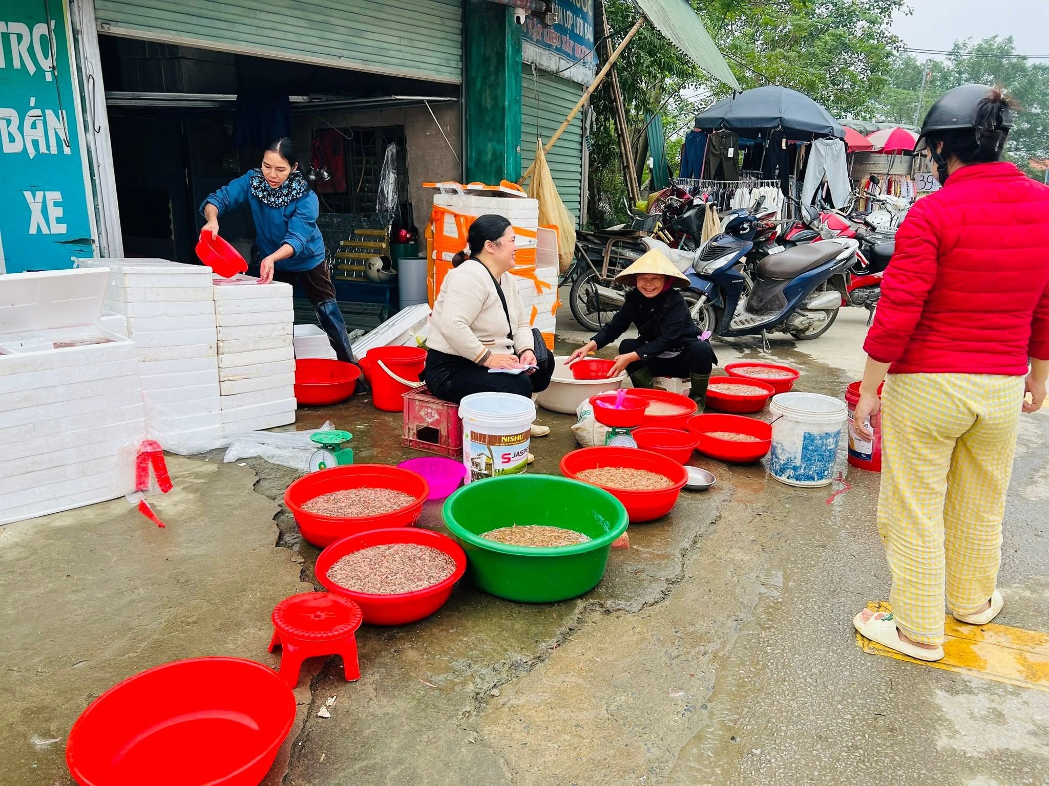 Người dân chong đèn ra đồng vớt “lộc trời”, thu tiền triệu mỗi đêm