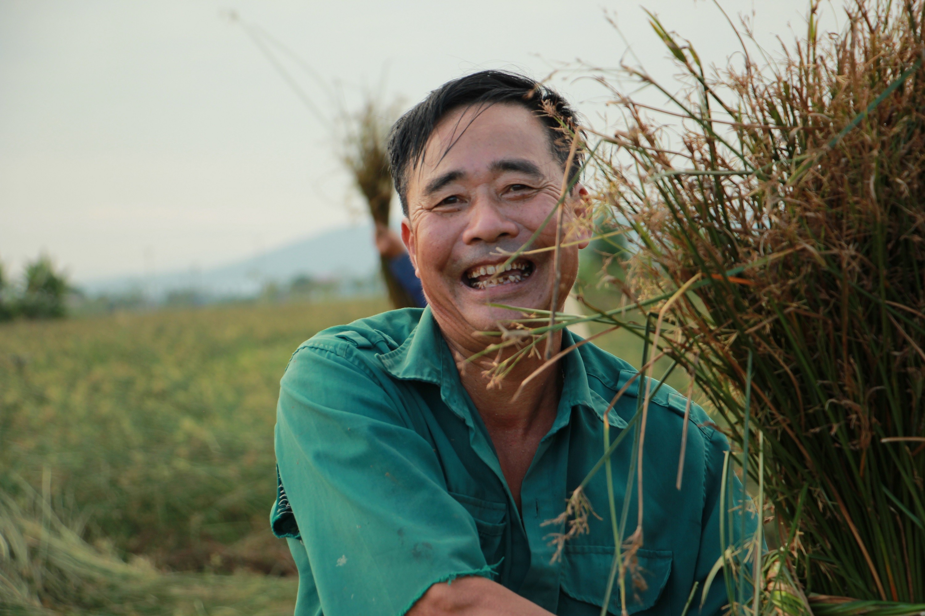 Ông ông Trần Khắc Kim (68 tuổi) trú tại thôn Liên Sơn xã Quang Ngọc đang vui vẻ phân loại cói