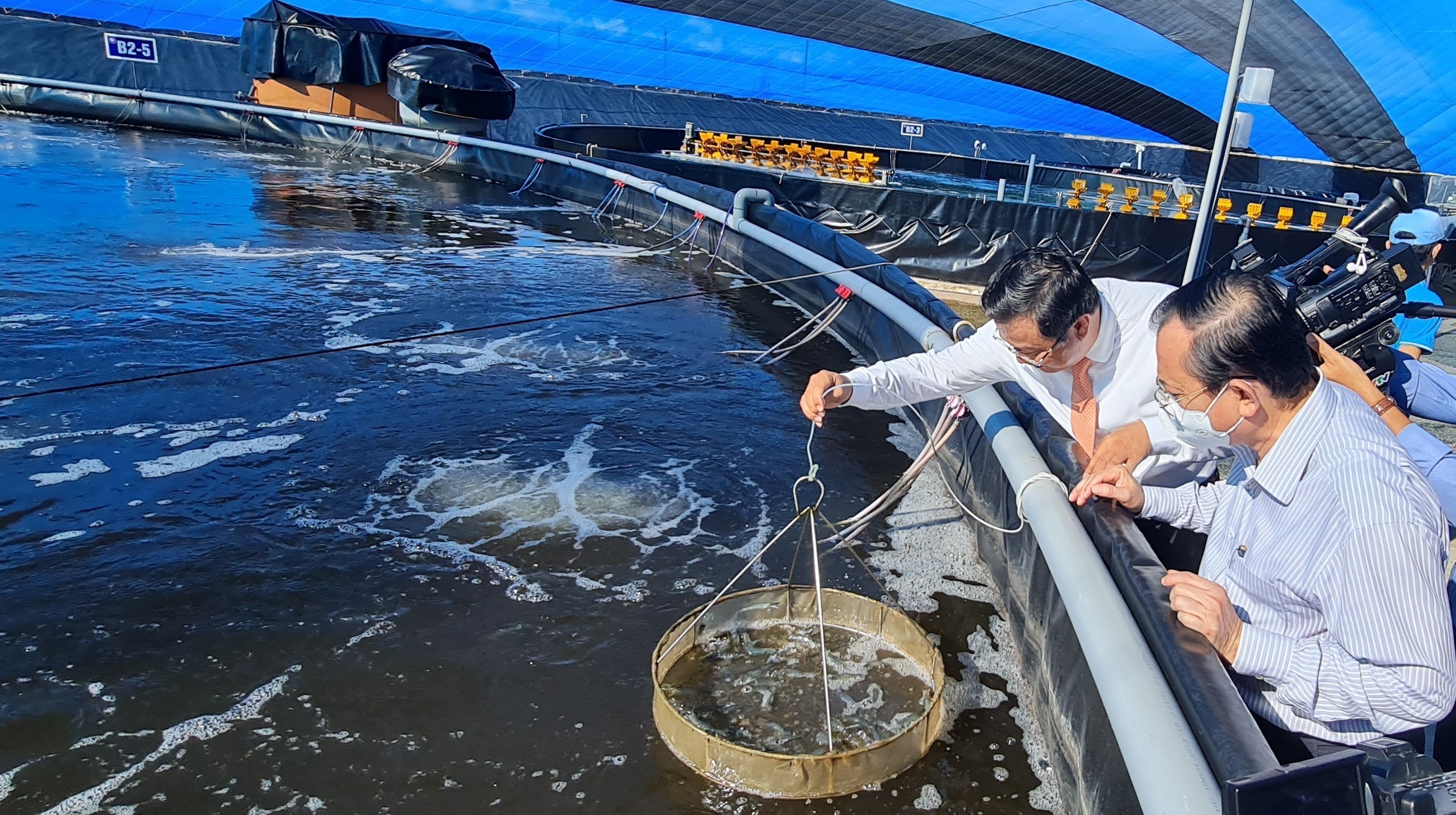 Giải pháp khắc phục ô nhiễm môi trường do nuôi tôm siêu thâm canh  Dân Việt