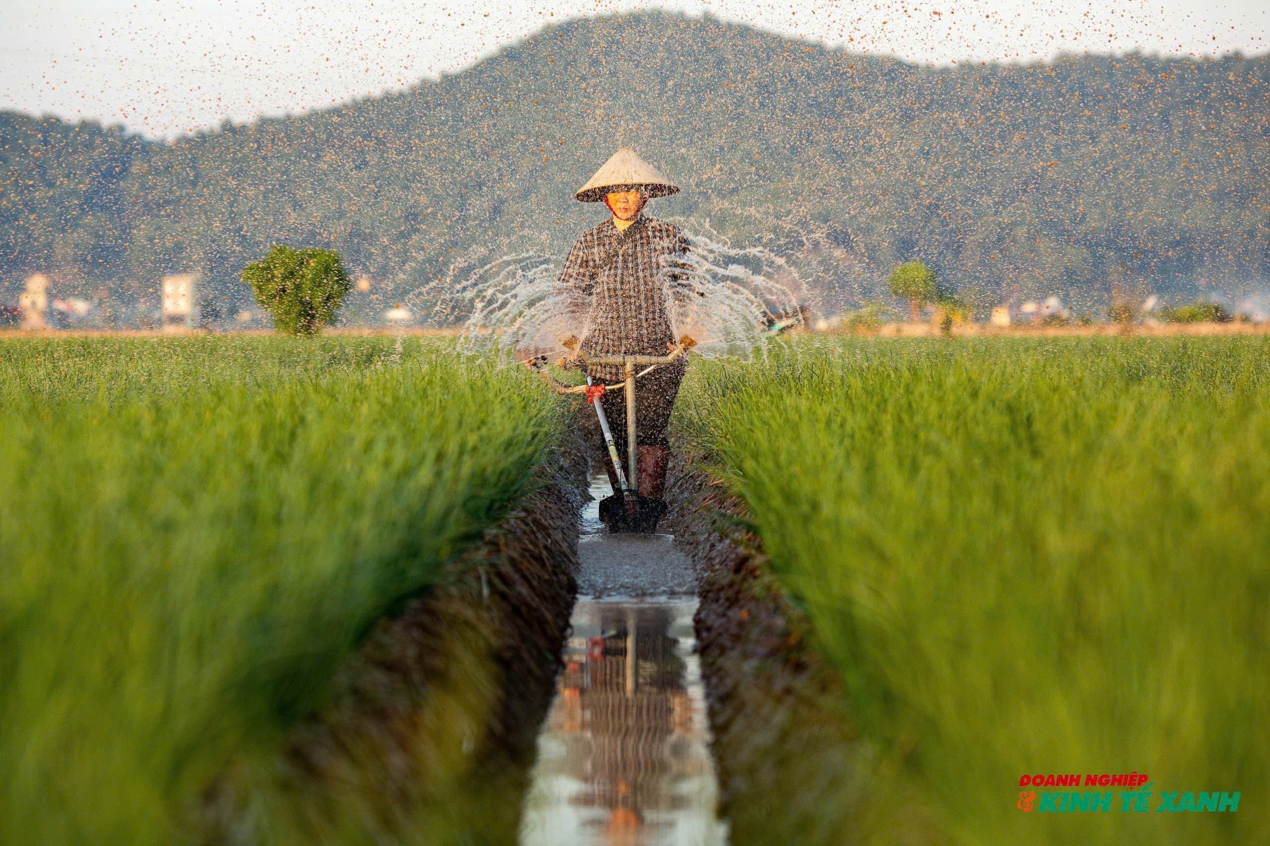 Hải Phòng: Áp dụng các tiến bộ khoa học kỹ thuật vào quy trình sản xuất, chăn nuôi