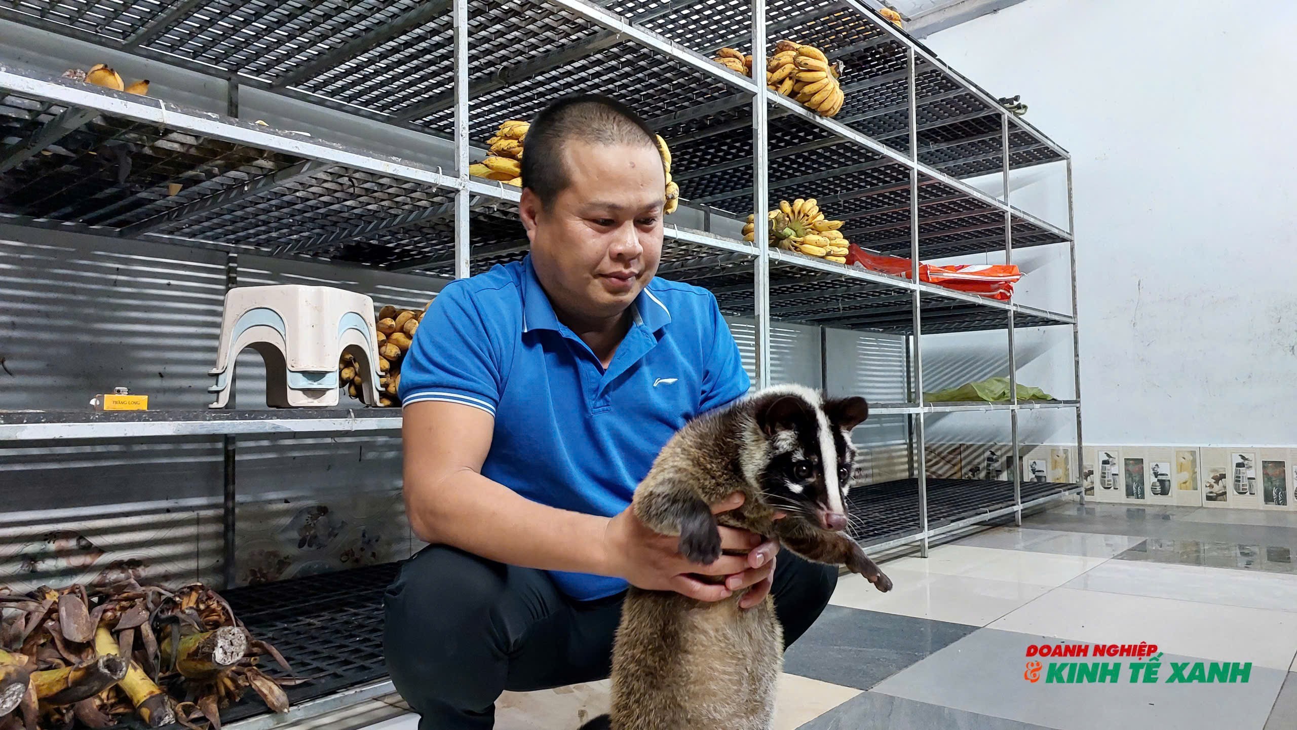 Mô hình nuôi chồn hương, điểm sáng phát triển kinh tế nông nghiệp tại Hải Phòng