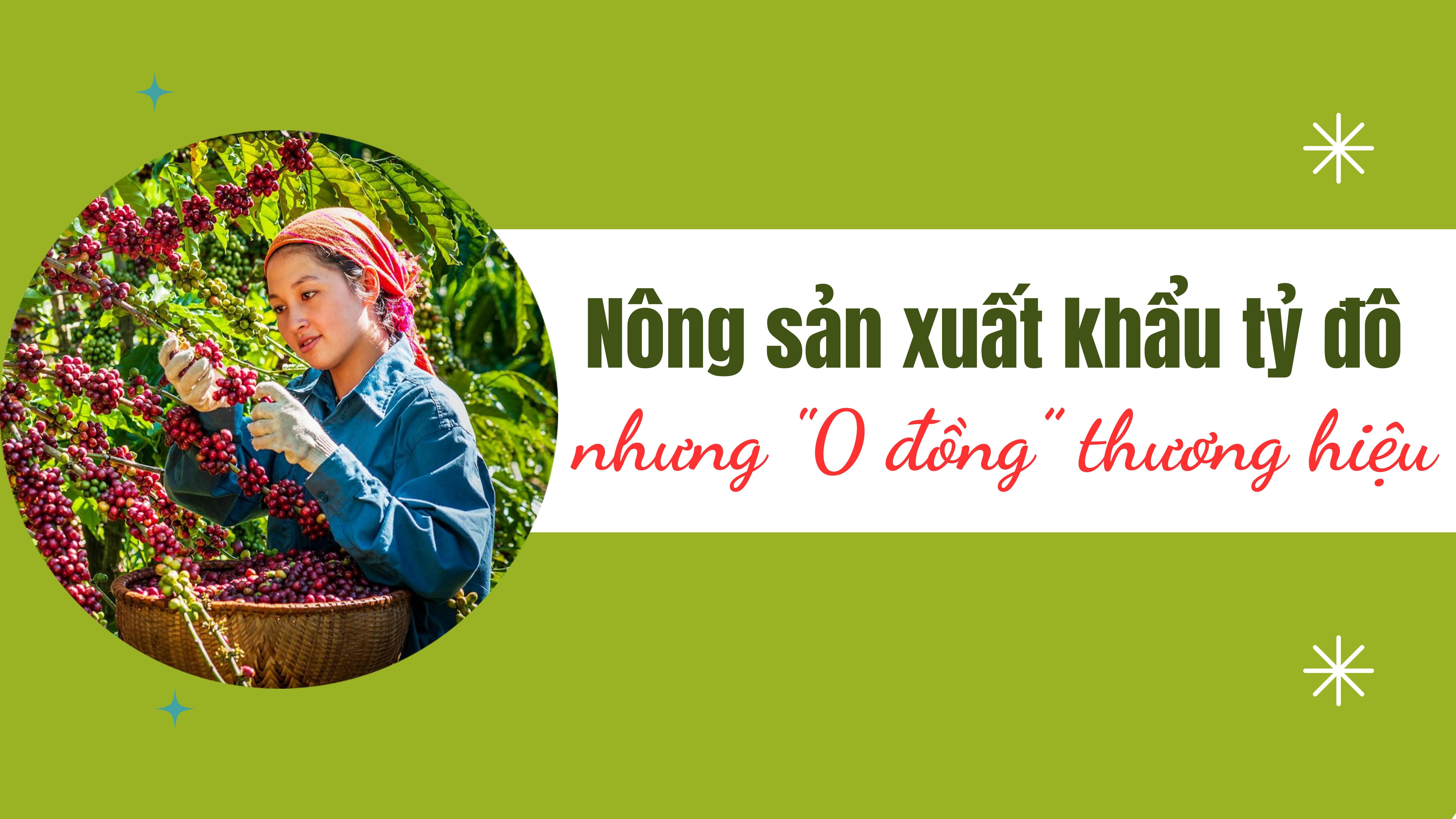 [Emagazine] Nông sản xuất khẩu tỷ đô nhưng "0 đồng” thương hiệu (Bài cuối): Định vị thương hiệu Việt