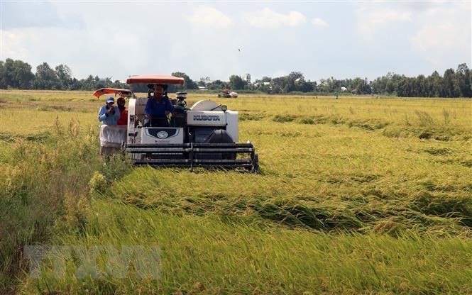 Nông nghiệp Bạc Liêu vẫn tăng trưởng cao dù gặp khó do dịch COVID-19