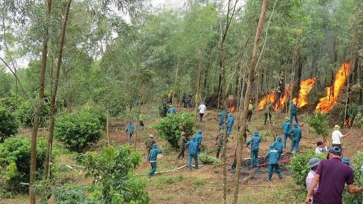 Bắc Giang phòng cháy, chữa cháy rừng mùa khô