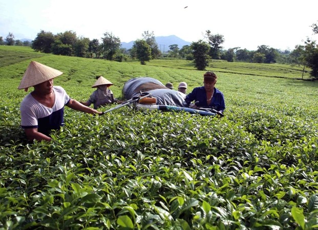 Phú Thọ mở rộng thị trường, tạo dựng chỗ đứng cho hàng Việt