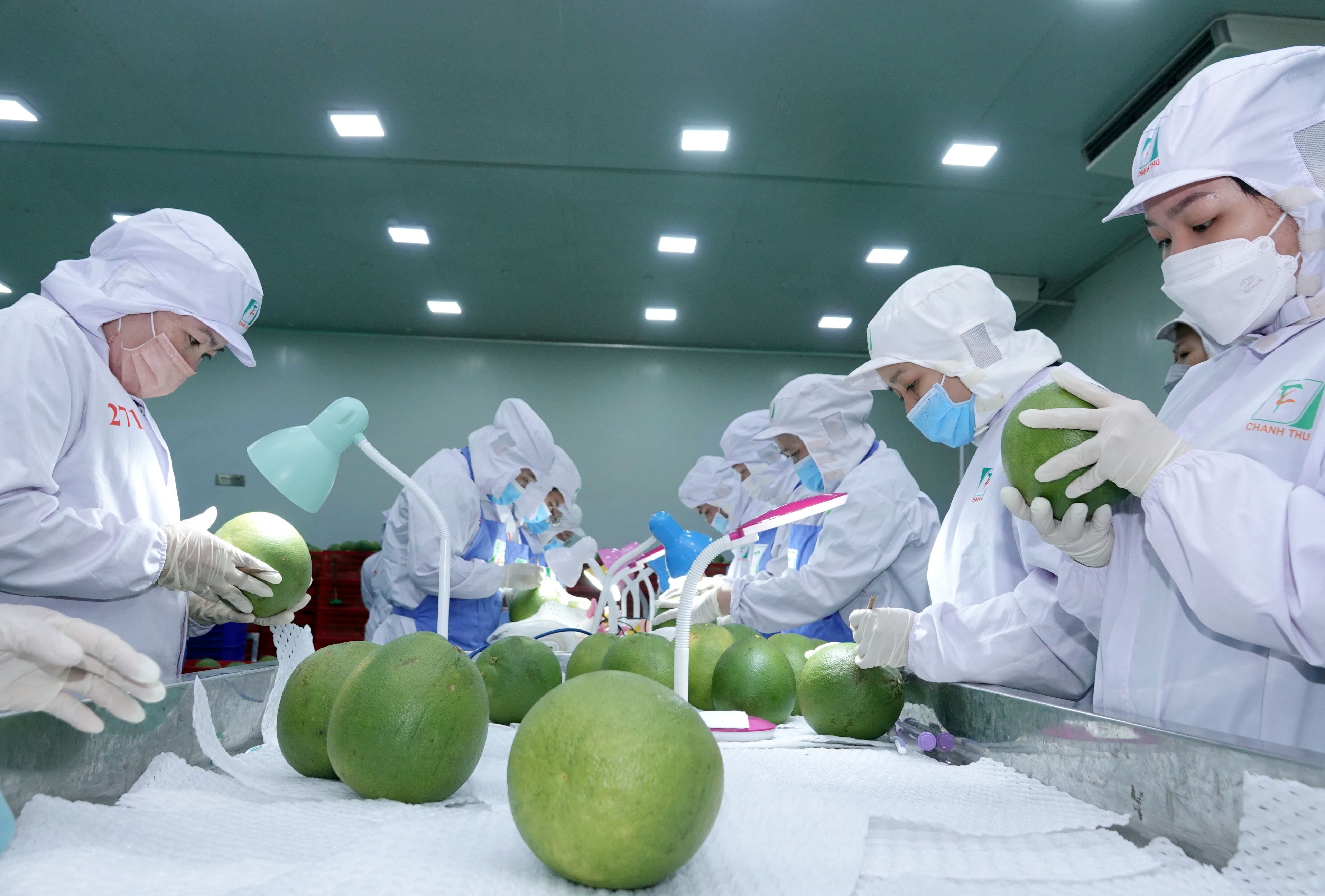 Xuất khẩu nông sản tăng tốc