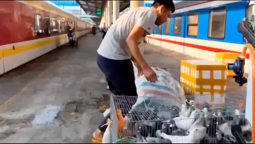 video-download-1756615464976-1756615548450-1756615901.mp4