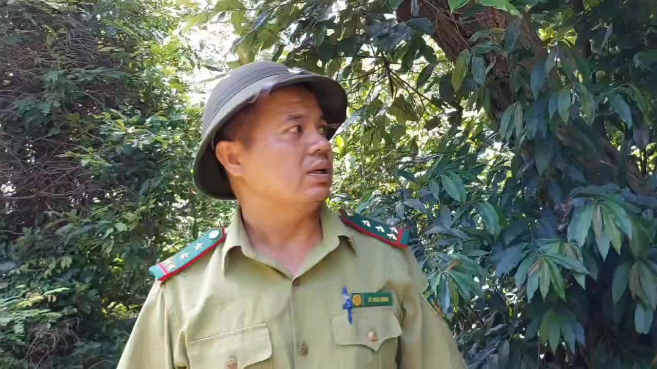 video-download-1758340540398-1758345683879-1758347093.mp4