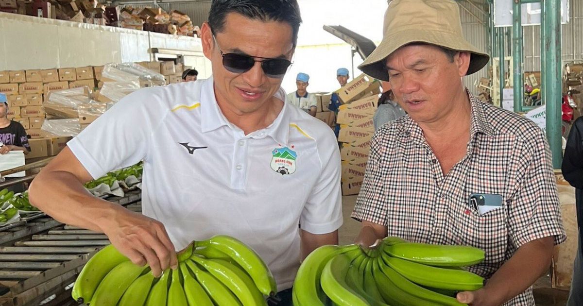 Hoàng Anh Gia Lai đặt mục tiêu lãi hơn 1.100 tỷ đồng năm 2025