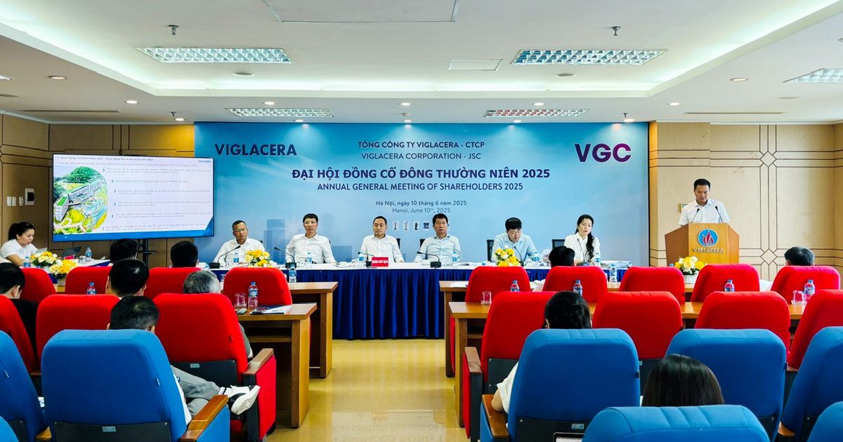ĐHĐCĐ Viglacera: Chính sách thuế quan tác động tới lợi nhuận, chưa tìm được nhà đầu tư tham gia thoái vốn