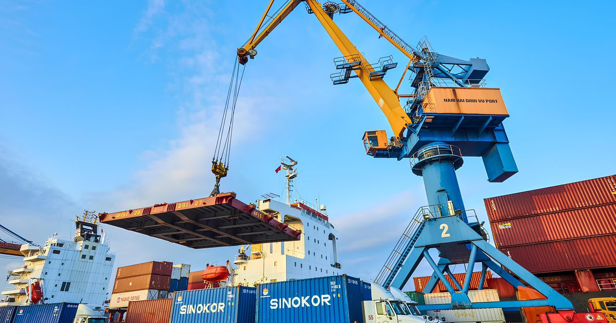 Tăng tốc mở rộng, doanh thu và lợi nhuận của Viconship lập kỷ lục mới