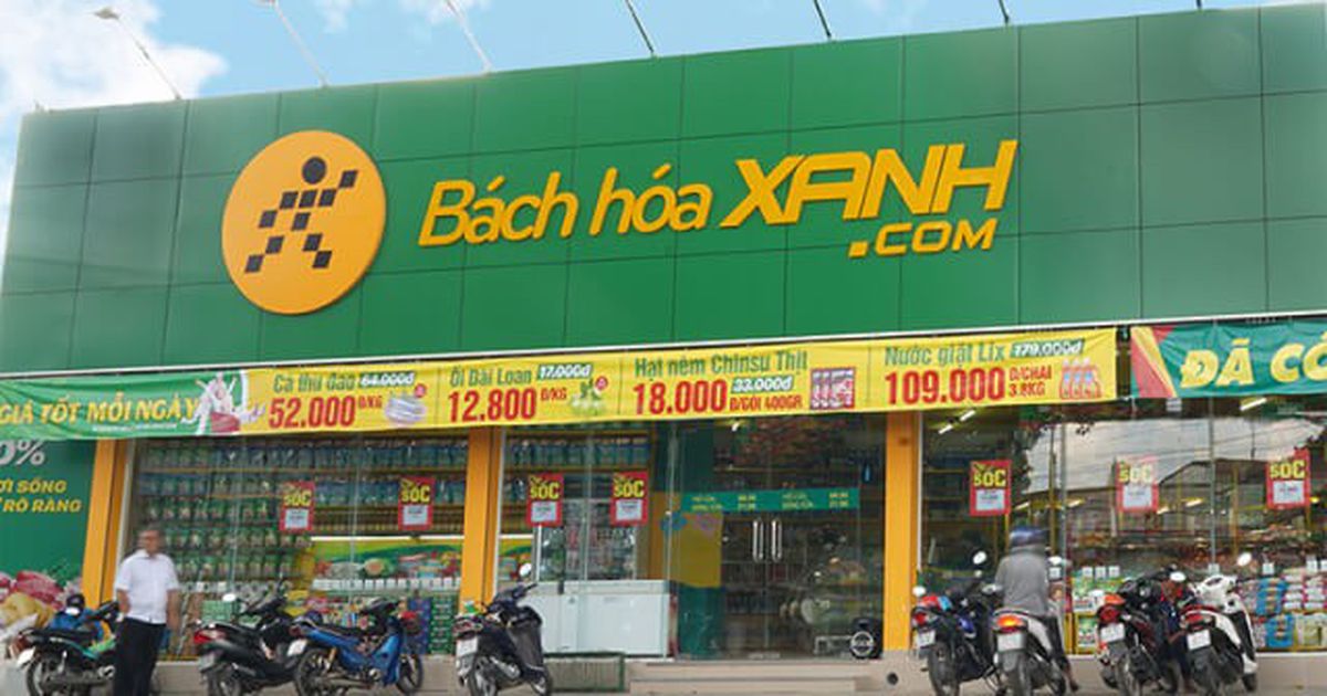 Bách Hóa Xanh dự kiến lãi hơn 600 tỷ đồng năm 2025, sẽ “Bắc tiến” vào năm sau