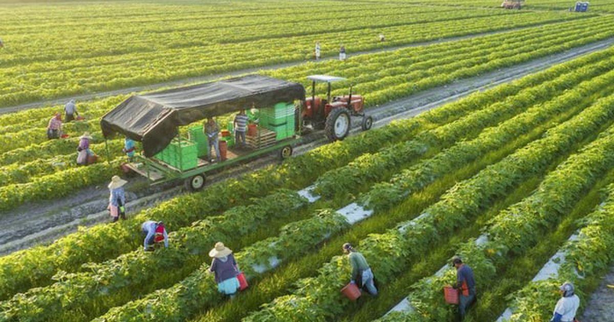 Bảo hiểm Ngân hàng Nông nghiệp tăng vốn điều lệ thêm 40%, lên hơn 1.000 tỷ đồng
