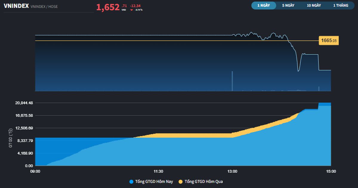 Rung lắc mạnh tại nhóm Midcap và Penny