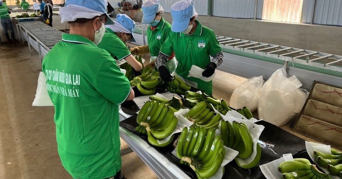 Hoàng Anh Gia Lai lãi hơn 1.300 tỷ đồng sau 9 tháng, vượt 18% kế hoạch năm