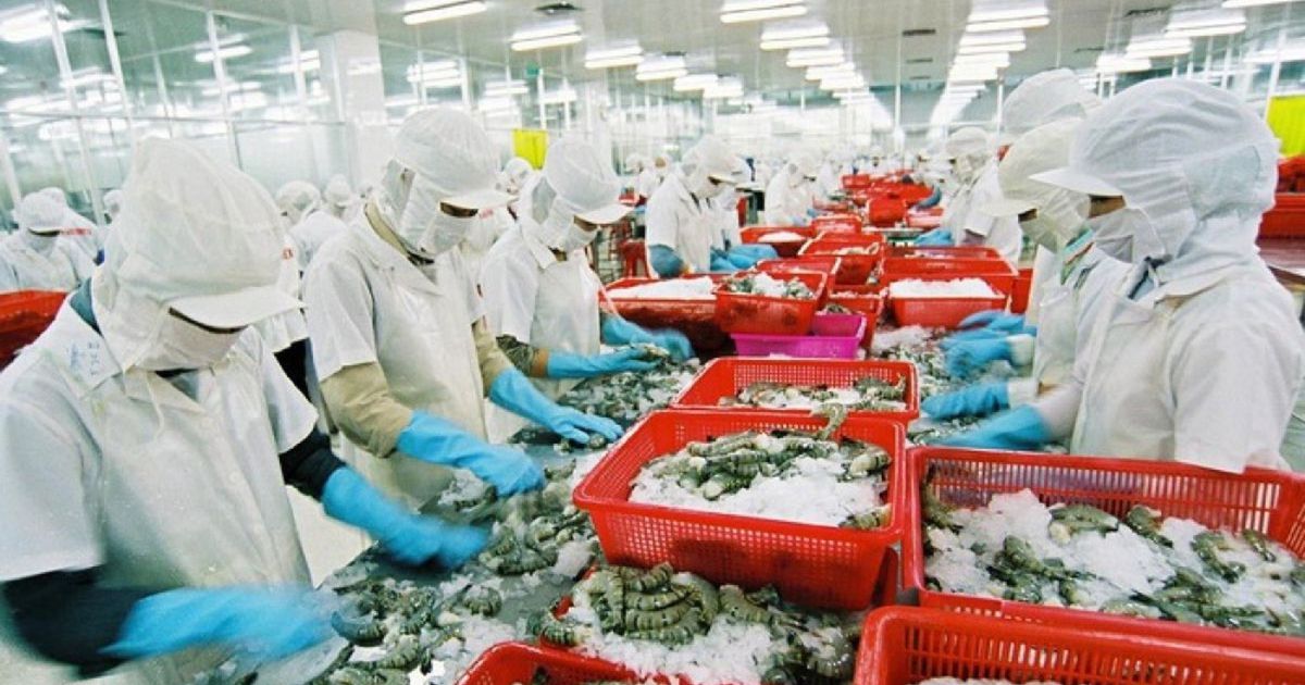 Lợi nhuận doanh nghiệp thủy sản dự báo giảm tốc trong quý cuối năm
