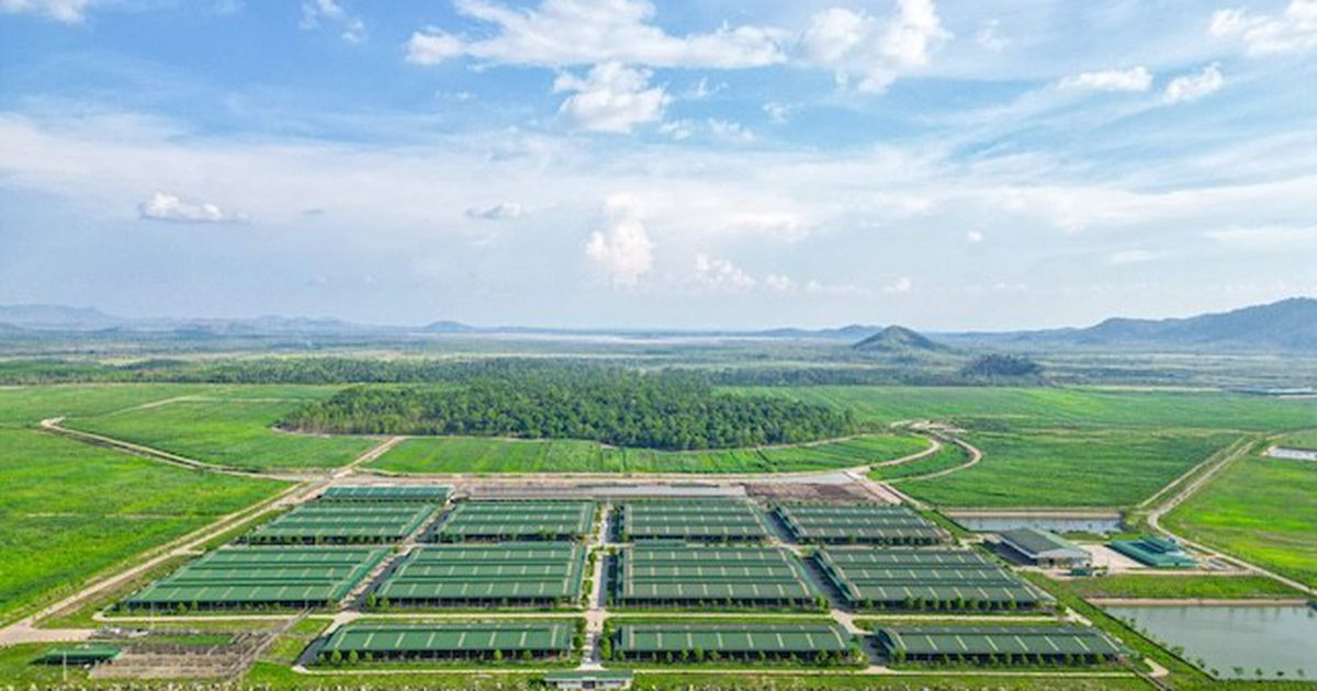 THACO AGRI đề xuất nhiều cơ chế đặc thù cho dự án nông nghiệp ở Gia Lai