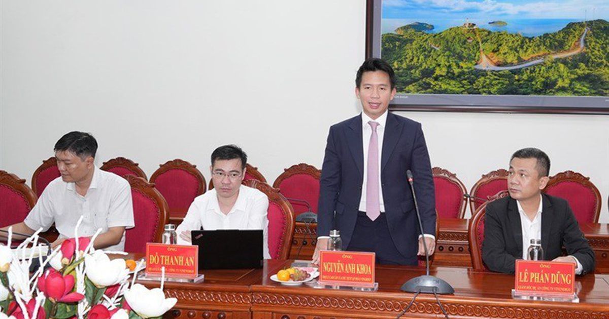 Năng lượng VinEnergo thuộc Vingroup có CEO mới