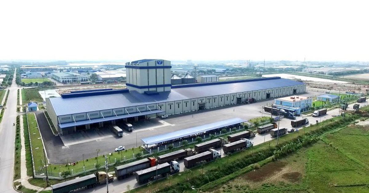 IPO Nông nghiệp Hòa Phát: Triển vọng cổ phiếu được dự báo ra sao?