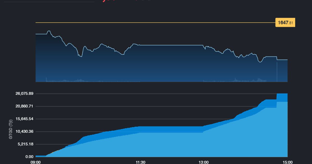 Nhịp điều chỉnh tiếp diễn, VN-Index xuống dưới mốc 1.600 điểm