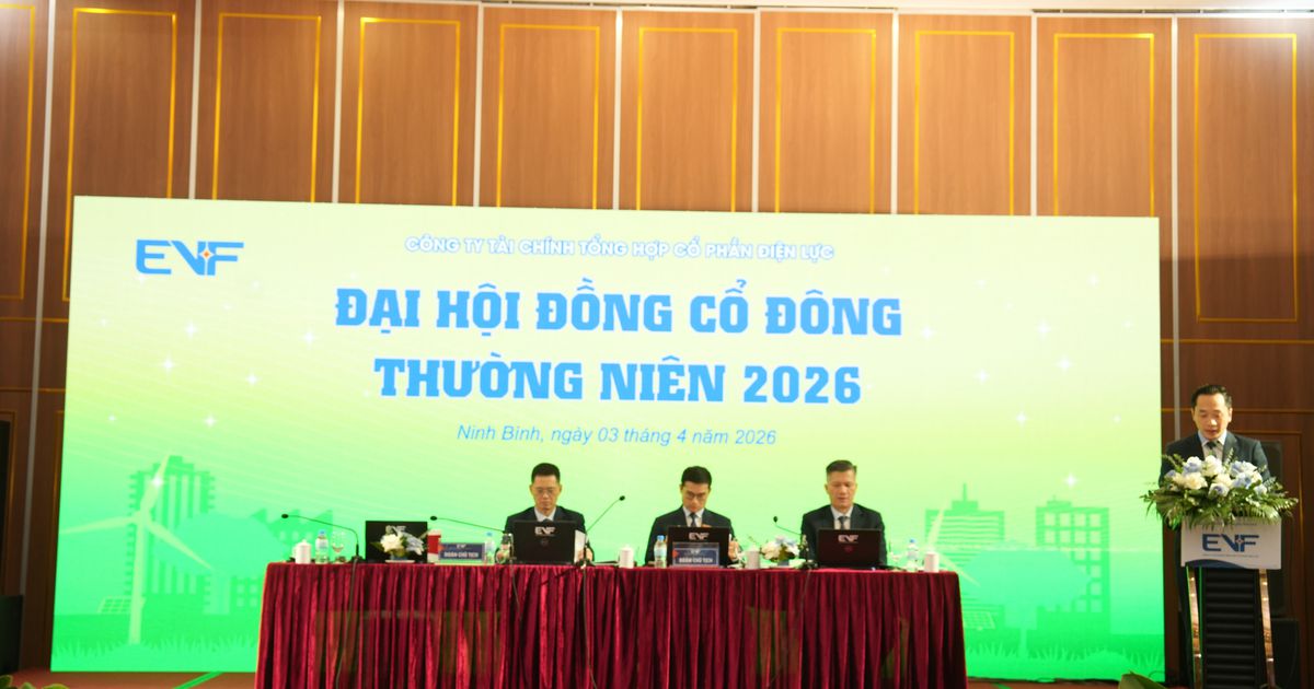 ĐHĐCĐ EVF: Chốt mục tiêu lãi 1.325 tỷ đồng, theo đuổi chiến lược tăng trưởng có chọn lọc
