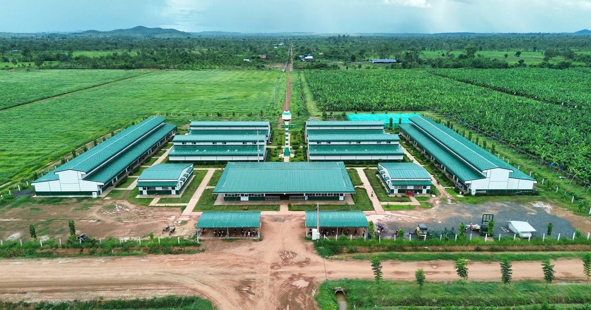 Thaco Agri của ông Trần Bá Dương báo lãi gấp 6 lần, quy mô tài sản vượt 85.000 tỷ đồng