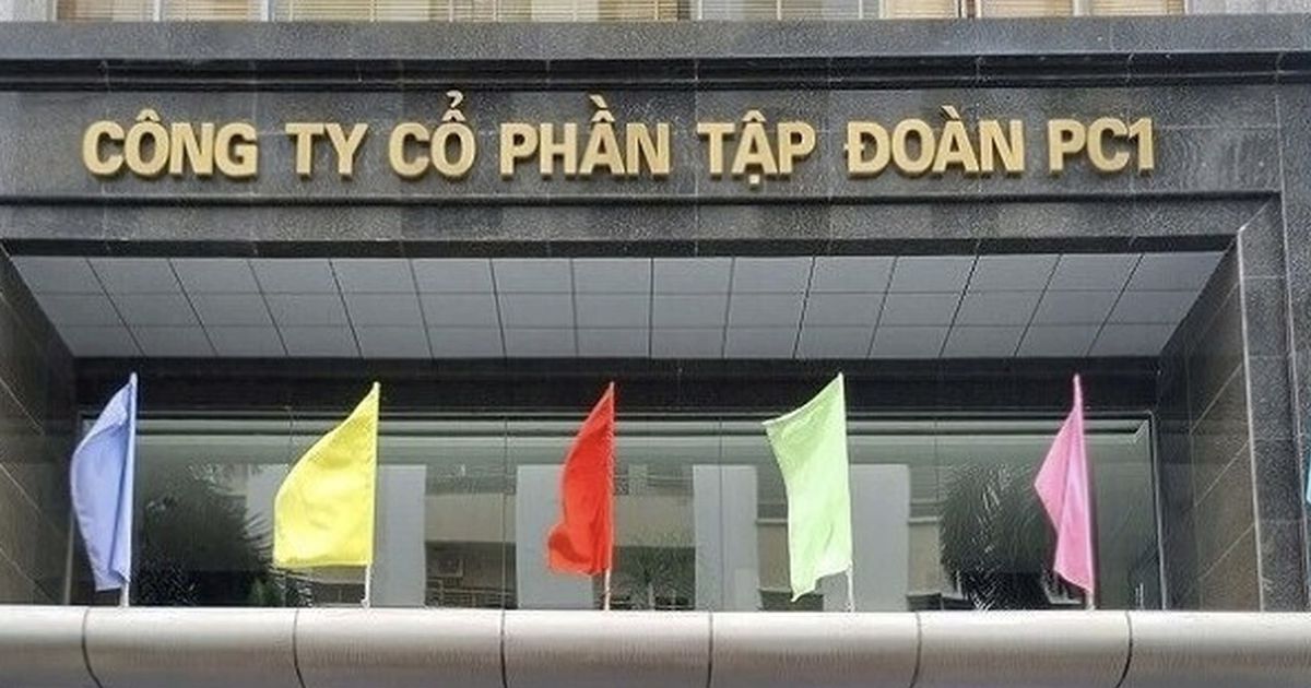 Chủ tịch Đại Dũng và con gái ông Trịnh Văn Tuấn ứng cử HĐQT PC1